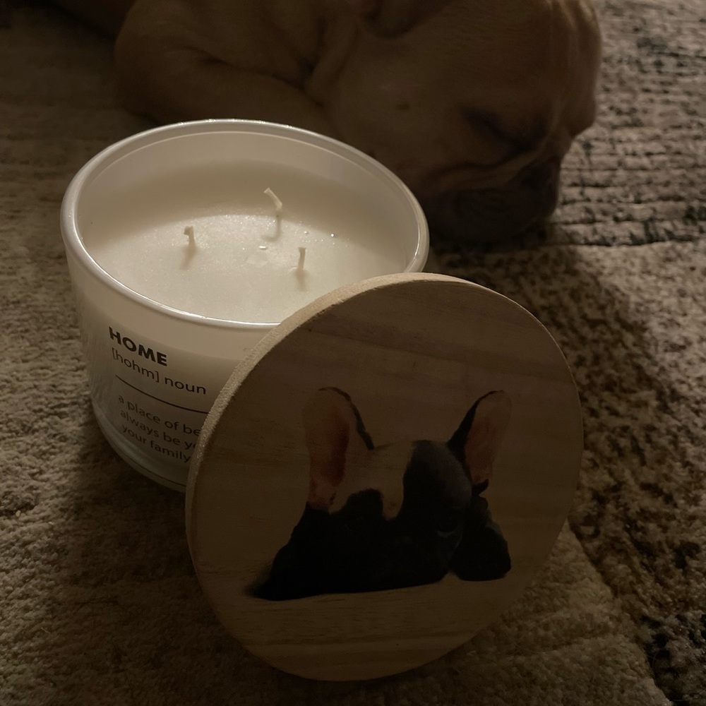 🆕 🕯 Western Brook 🕯 Midnight Scented Candle 12oz with frenchie cover